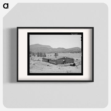 New Dugout of Faro Caudill, Pie Town, New Mexico
 - ラッセル リー Poster.