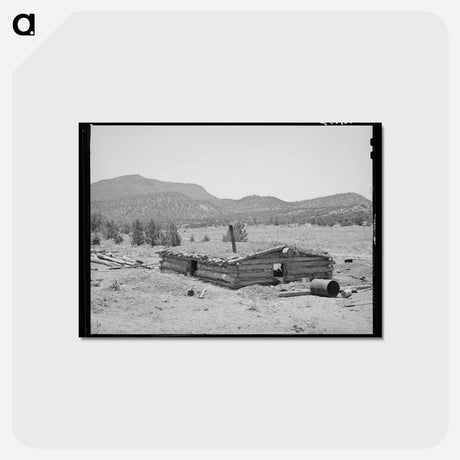 アートポストカード-New Dugout of Faro Caudill, Pie Town, New Mexico
 - ラッセル リー Postcard.