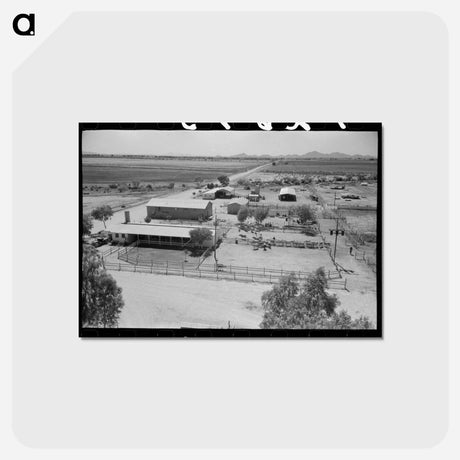 アートポストカード-Casa Grande Valley Farms, Pinal County, Arizona
 - ラッセル リー Postcard.