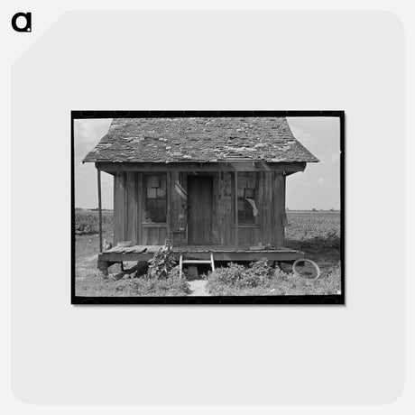 アートポストカード-Sharecropper Cabin, New Madrid County, Missouri
 - ラッセル リー Postcard.