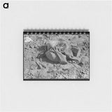 アートメモ帳-Lunch Pail, Coffee Bottle, Coat, and Straw of Mexican Carrot Worker
 - ラッセル リー Memo.