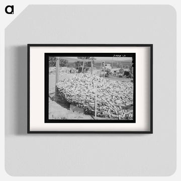 Corn Raised for Feed, Vale-Owyhee Irrigation Project
 - ラッセル リー Poster.