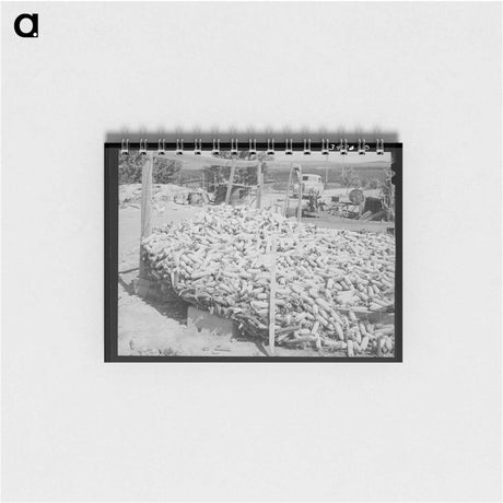 アートメモ帳-Corn Raised for Feed, Vale-Owyhee Irrigation Project
 - ラッセル リー Memo.