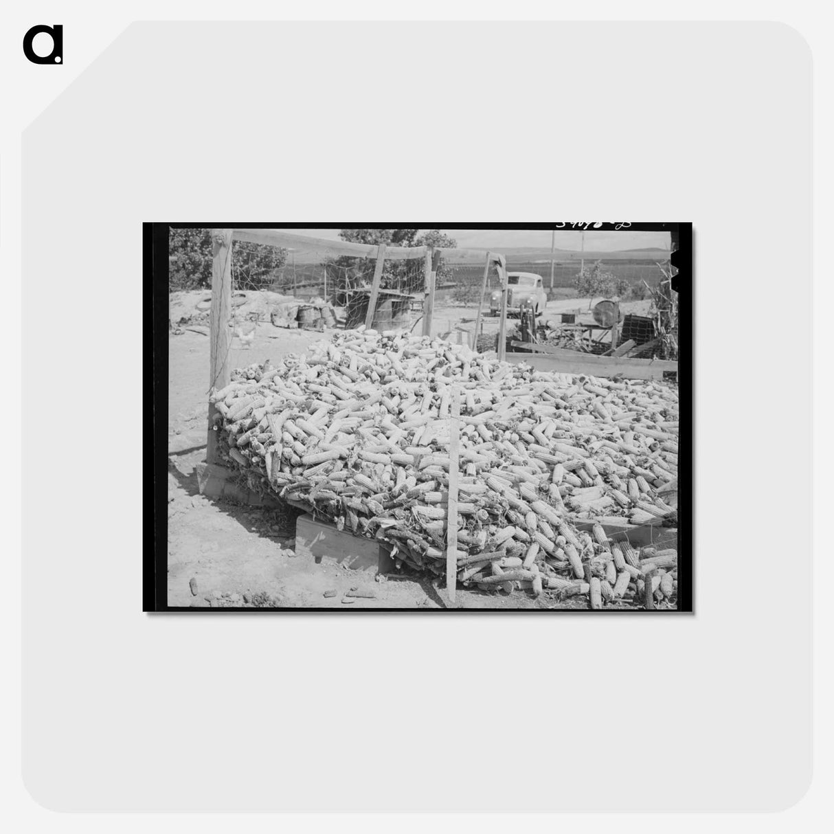 アートポストカード-Corn Raised for Feed, Vale-Owyhee Irrigation Project
 - ラッセル リー Postcard.