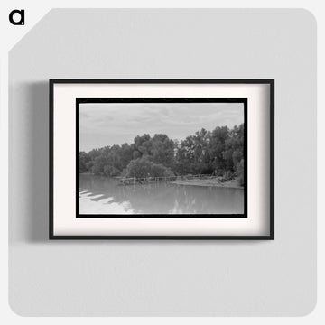 Unloading Oysters from Fisherman's Boat, Olga, Louisiana
 - ラッセル リー Poster.