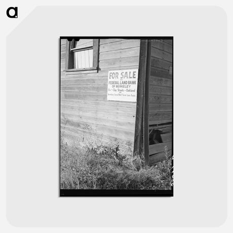 アートポストカード-Sign, Placer County, California
 - ラッセル リー Postcard.