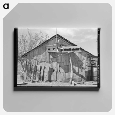 アートパネル-Barn with Pigeon Cote, Near Santa Maria, Texas
 - ラッセル リー Canvas.