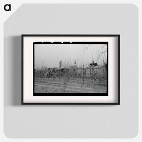 アートポスター-Farmhouse and Yard, Pine Area, New Jersey
 - ラッセル リー Poster.