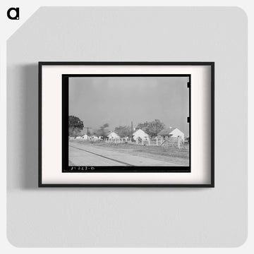 Houses on Cane Plantation near New Roads, Louisiana
 - ラッセル リー Poster.