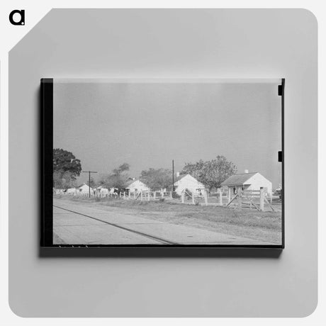 アートパネル-Houses on Cane Plantation near New Roads, Louisiana
 - ラッセル リー Canvas.