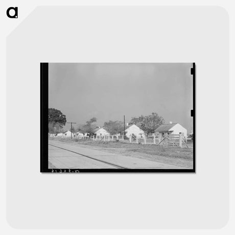 アートポストカード-Houses on Cane Plantation near New Roads, Louisiana
 - ラッセル リー Postcard.