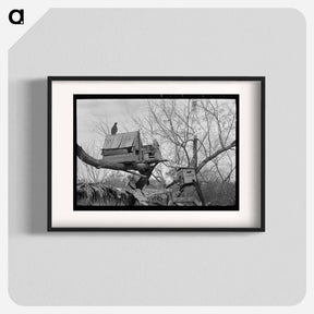 アートポスター-Pigeon Cote of Mexican Farmer near Combes, Texas
 - ラッセル リー Poster.