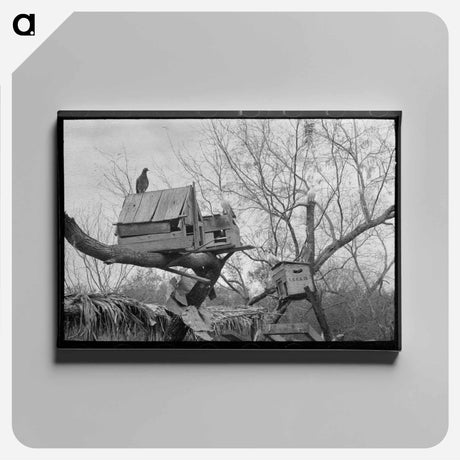 アートパネル-Pigeon Cote of Mexican Farmer near Combes, Texas
 - ラッセル リー Canvas.