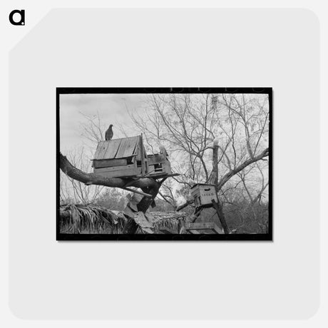 アートポストカード-Pigeon Cote of Mexican Farmer near Combes, Texas
 - ラッセル リー Postcard.