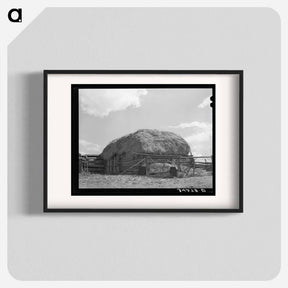 アートポスター-Straw-Covered Barn, Questa, New Mexico
 - ラッセル リー Poster.