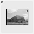 アートポストカード-Straw-Covered Barn, Questa, New Mexico
 - ラッセル リー Postcard.