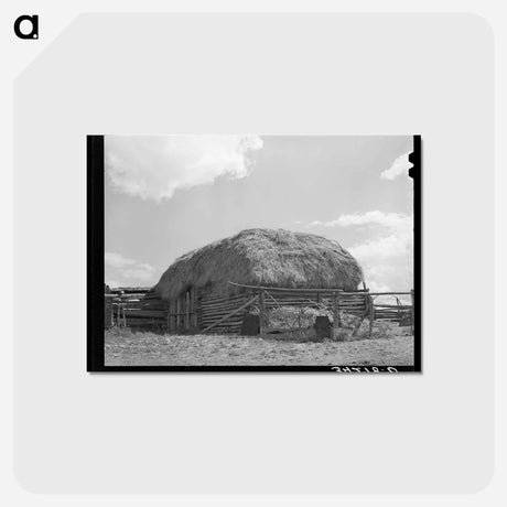 アートポストカード-Straw-Covered Barn, Questa, New Mexico
 - ラッセル リー Postcard.