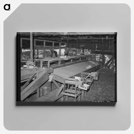 アートパネル-Packing Shed, Placer County, California
 - ラッセル リー Canvas.