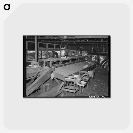 アートポストカード-Packing Shed, Placer County, California
 - ラッセル リー Postcard.