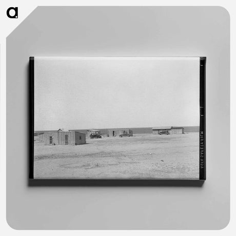 アートパネル-Farm Laborers' Dwellings, Ralls, Texas
 - ラッセル リー Canvas.