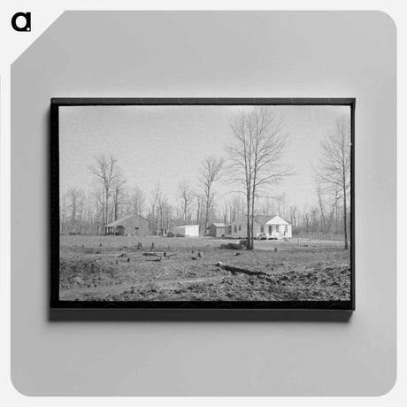 アートパネル-Farmstead, Chicot Farms, Arkansas
 - ラッセル リー Canvas.