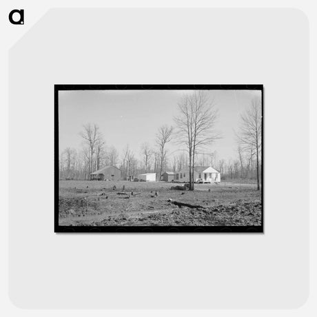 アートポストカード-Farmstead, Chicot Farms, Arkansas
 - ラッセル リー Postcard.