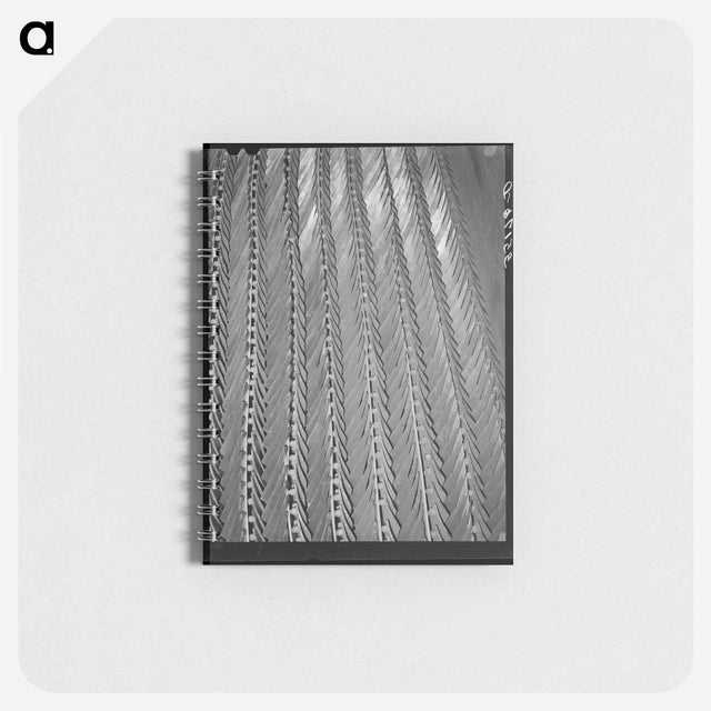 アートメモ帳-Plow Points, Farm Equipment Warehouse, Oklahoma City
 - ラッセル リー Memo.