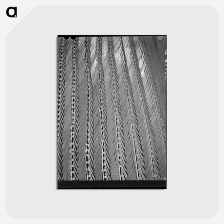 アートポストカード-Plow Points, Farm Equipment Warehouse, Oklahoma City
 - ラッセル リー Postcard.