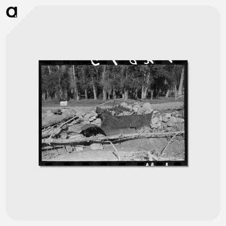 アートポストカード-Improvised Protection from Stream Bank
 - ラッセル リー Postcard.
