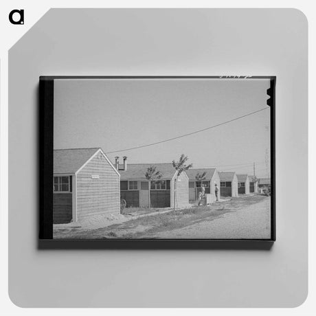 アートパネル-Row Shelters at FSA Farm Workers' Camp, Caldwell, Idaho
 - ラッセル リー Canvas.