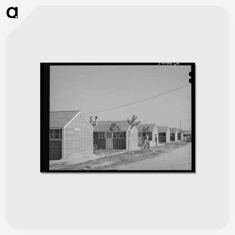 アートポストカード-Row Shelters at FSA Farm Workers' Camp, Caldwell, Idaho
 - ラッセル リー Postcard.