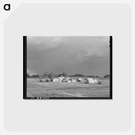 アートポストカード-Workmen's Housing, Stanfield, Oregon
 - ラッセル リー Postcard.