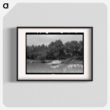 Unloading Oysters from Fisherman's Boat, Olga, Louisiana
 - ラッセル リー Poster.