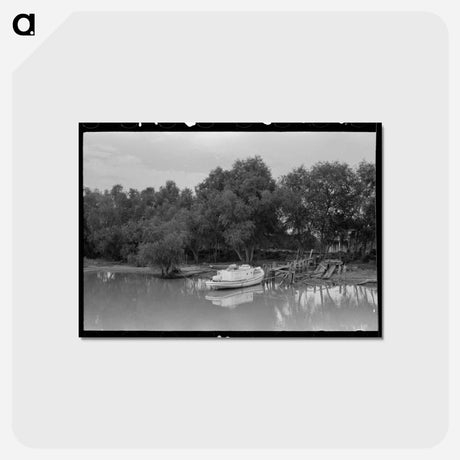 アートポストカード-Unloading Oysters from Fisherman's Boat, Olga, Louisiana
 - ラッセル リー Postcard.