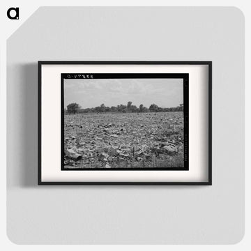 Mays Avenue Camp, Oklahoma City
 - ラッセル リー Poster.