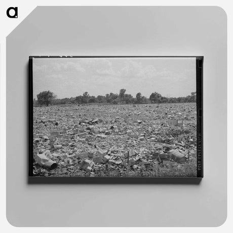 アートパネル-Mays Avenue Camp, Oklahoma City
 - ラッセル リー Canvas.