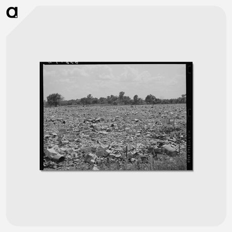 アートポストカード-Mays Avenue Camp, Oklahoma City
 - ラッセル リー Postcard.