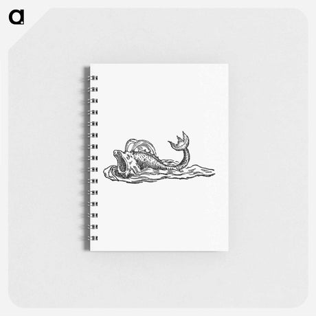 アートメモ帳-Aquatic Creature from Real Sailor-Songs
 - 大英図書館 Memo.