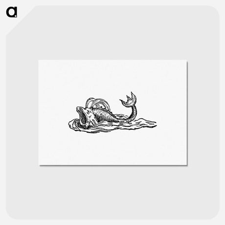 アートポストカード-Aquatic Creature from Real Sailor-Songs
 - 大英図書館 Postcard.
