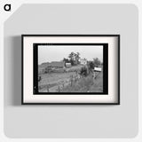 Hillside Farm - Dorothea Lange Poster.