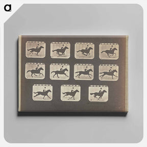 アートパネル-Running (Galloping)
 - エドワード マイブリッジ Canvas.
