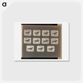 アートポストカード-Running (Galloping)
 - エドワード マイブリッジ Postcard.