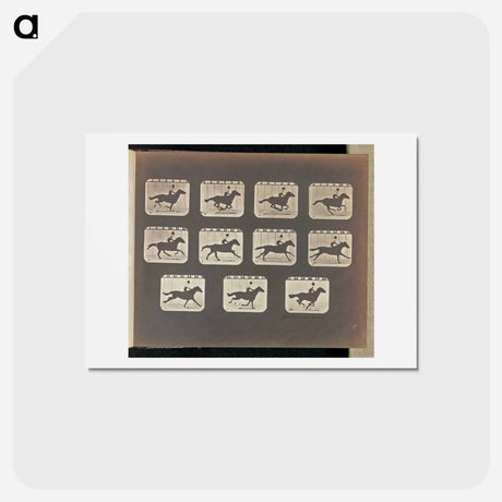 アートポストカード-Running (Galloping)
 - エドワード マイブリッジ Postcard.