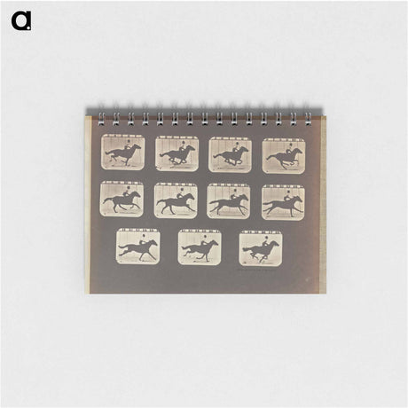 アートメモ帳-Running (Galloping)
 - エドワード マイブリッジ Memo.