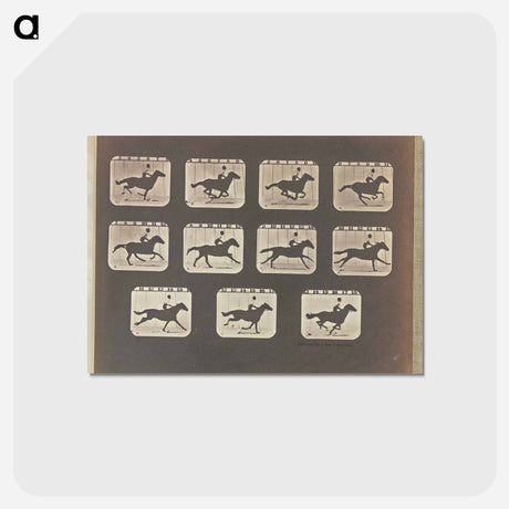 アートポストカード-Running (Galloping)
 - エドワード マイブリッジ Postcard.