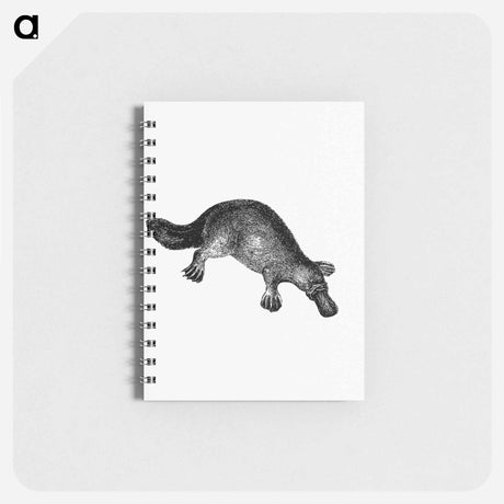 アートメモ帳-Duck-Billed Platypus
 - 大英図書館 Memo.