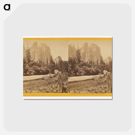アートポストカード-Cathedral Rocks and Spires
 - エドワード マイブリッジ Postcard.