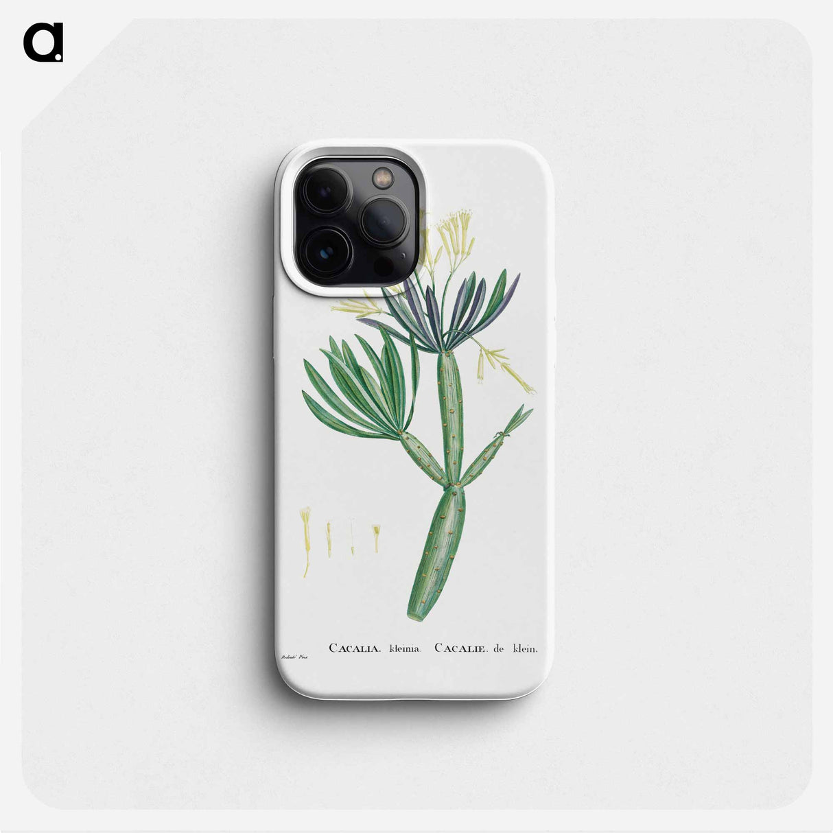 Cacalia Kleinia (Canary Islands Candle Plant) - Pierre Joseph Redouté Phone Case.