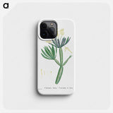 Cacalia Kleinia (Canary Islands Candle Plant) - Pierre Joseph Redouté Phone Case.