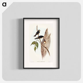 アートポスター-Tree Martin
 - オーストラリアの鳥 Poster.